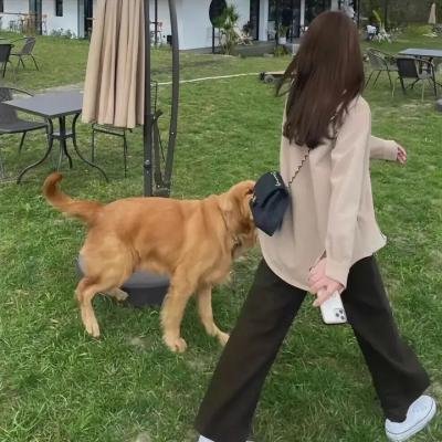 女孩有问题